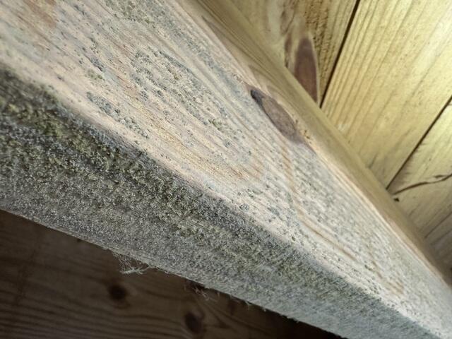 This photo shows exposed wood surfaces affected by years of moisture exposure, resulting in discoloration, staining, and visible organic growth. These conditions are commonly found in damp crawl spaces and can leave wood looking aged and neglected