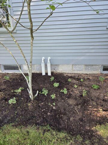 IceGuard was installed on the exterior discharge line to help prevent backups if the line freezes or becomes blocked. It gives water an alternate escape route, helping protect the basement during winter conditions.