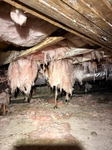 Before the Crawl Space Encapsulation