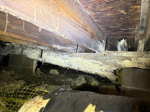Rotten main beam under house