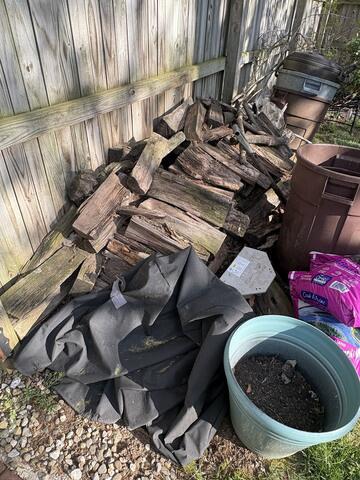 They were harboring in this pile of firewood!