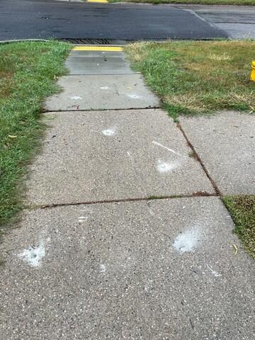 During: Our Foreman, Charlie, and his crew worked hard to lift the sidewalk slabs back to their original position.
