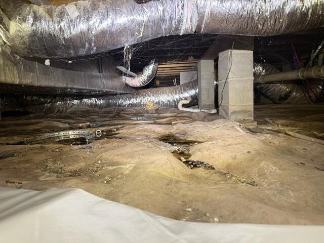 moisture in crawl space