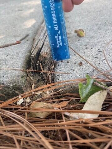 The old wood in the expansion point needed to be removed. This is one of three expansion points where we replaced the wood with backer rod and NexusPro sealant.