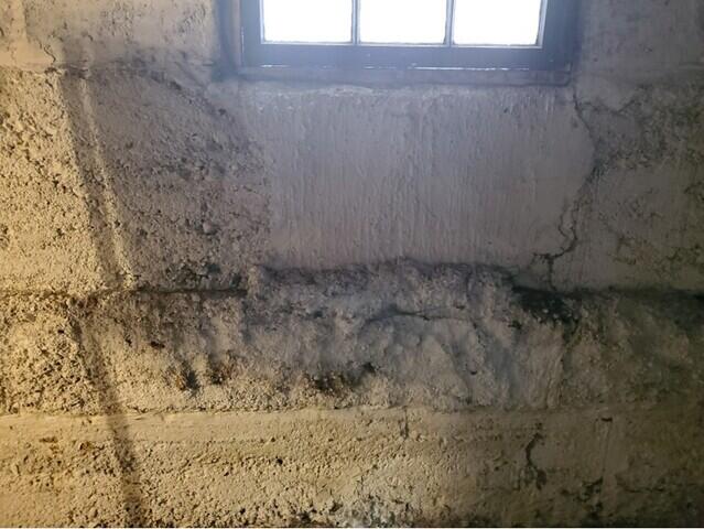 Foundation