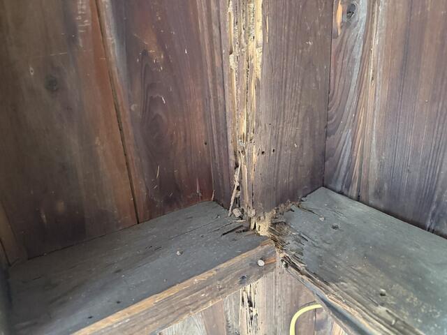 Once the termites are exterminated, the owner will repair the shed.