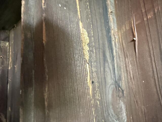 There were multiple areas of the shed that had severe damage to it.