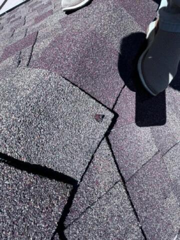Damaged Shingles