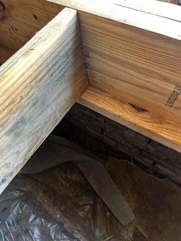 In the subfloor, we completed the sister joists and rim board replacement.