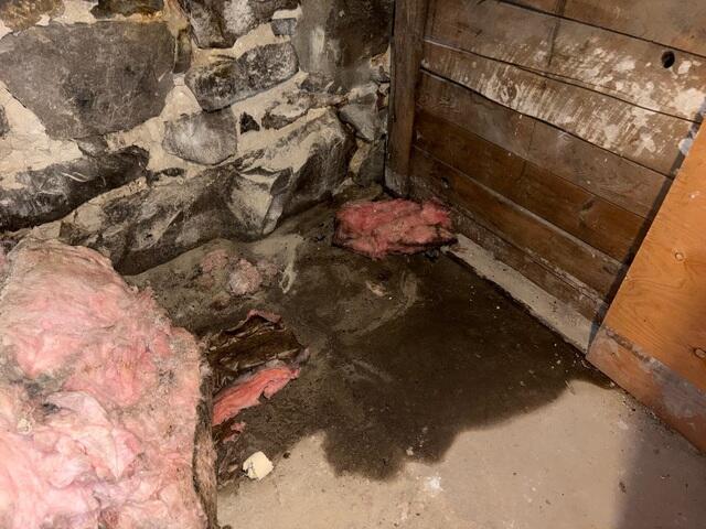 This wet basement in Brattleboro, Vermont, took on water in the corner and along the wall. Northern Basement Systems provided a solution to address their concerns.