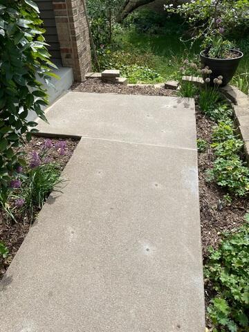 After our crew used PolyLevel to lift and level the slabs and sealed the joints with NexusPro