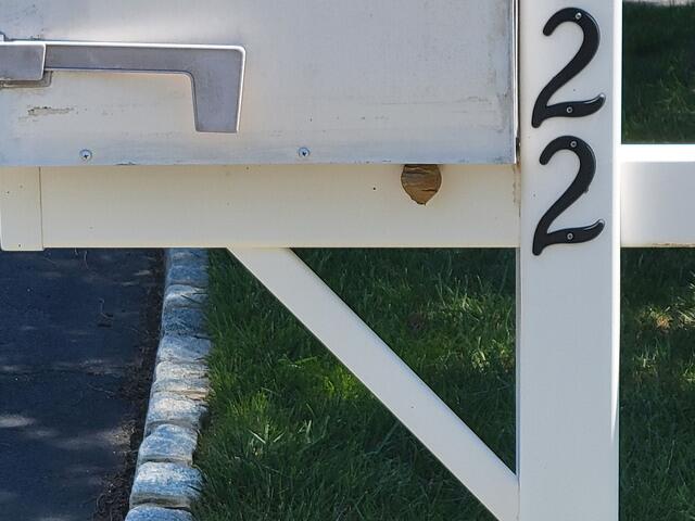 We found the nest on the side of the mailbox.