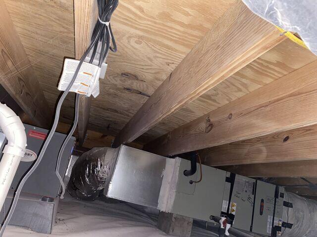 An after image of the mold removed from the wood by the soda blasting technique.