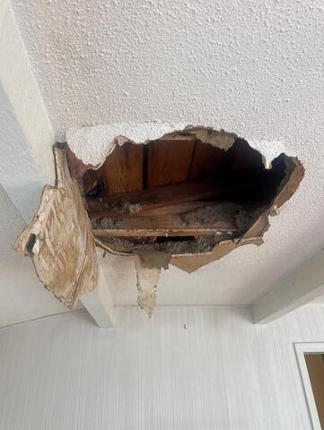 Close-up of the damaged ceiling opening and exposed framing.