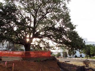 Gaines Street Corridor Reconstruction - Tallahassee, FL