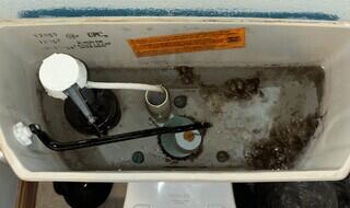 Iron or Bacteria Issues?