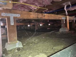 Additional before image of crawl space.