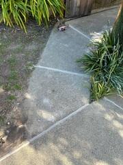 After image of the sealed and lifted pathway.