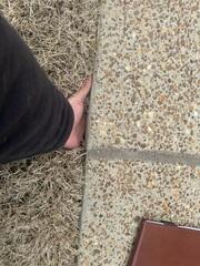 Resolving Driveway Voids and Settlement Issues in Hernando, MS