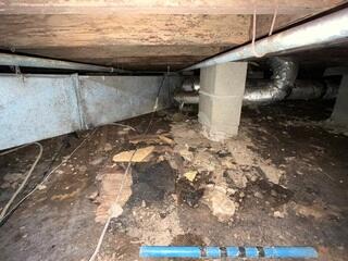 Full Joist & Subfloor Replacement + Drainage Solutions in Melbourne, AR