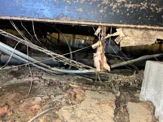 Crawlspace Encapsulation & Moisture Control for a Unique Home in Adamsville...