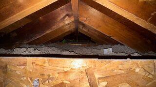 Attic after being insulated