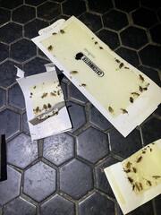 We found a bunch in our monitoring devices.