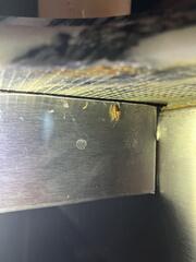 Here's one cockroach crawling underneath one of the equipments in the kitchen.
