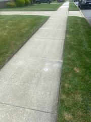 PolyLevel and NexusPro Installation in Massapequa Park, NY