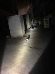 This crawl space in Princeton, NJ was damp, musty, and poorly insulated, creating the perfect environment for moisture problems and poor air quality.