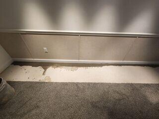 Our EverLast Wall Panels not only protect against future moisture issues but also enhance the overall appearance of the basement, transforming it into a brighter, healthier, and more usable living space.