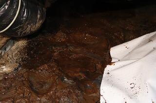 Water Damaging Crawl Space-Lake Oswego, OR