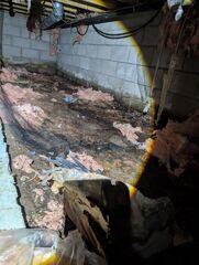Before: Following James' thorough inspection, he confirmed the crawl space needed to be fully encapsulated.