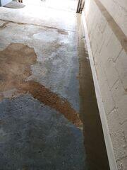 Garage Moisture Intrusion In West Orange, NJ