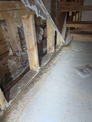 Wood rot can be seen below the steps in the basement