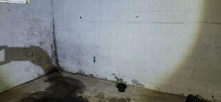Basement Waterproofing and Foundation Repair in Bordentown, NJ