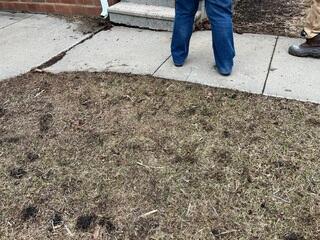 Concrete Leveling Services In Waltham, MN
