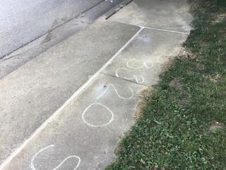 Spot 1 - After Photo: No more tripping hazards lurking in the shade!