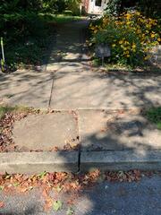 Another photo of the uneven and sunken slabs in this sidewalk.