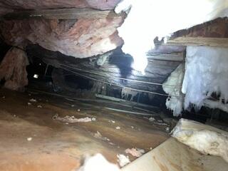 This picture was taken by our Inspector, Joey, upon the free consultation. You can see the fiberglass insulation was falling out of the ceiling due to high moisture.