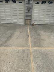 Next, in order to protect and restore this homeowner's driveway, our crew applied NexusPro Joint Sealant to the cracks and joints. This durable, UV-resistant sealant prevents water from seeping beneath the slabs, helping to stop further soil erosion and concrete settlement while giving the surface a clean, finished look.