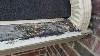 backed up gutters