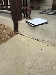 A close look at the slab in front of the step.