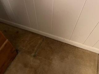 A close-up of the damp carpet at the edge of the f,oor