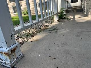 A lower angle to see how the slabs have sunken