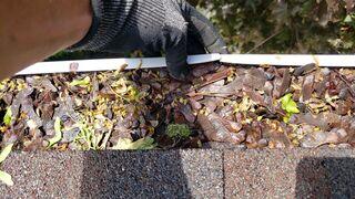 Damaged Gutters and Soffit Restored in Logan