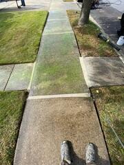 Concrete Repair in Bethpage, NY