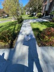 Concrete Repair in Manhasset, NY