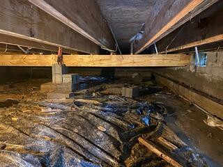 This photo shows the replaced main beam. You also may notice how wet the ground is. We suggested the homeowner encapsulates the space to protect the new wood and the other 13 floor joists we didn't sister. The homeowner appreciated the quote, but wasn't ready to move forward at the time.