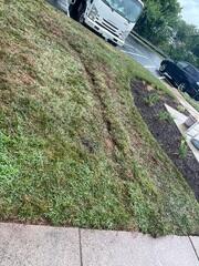 Completed project with minimal disruption to the property